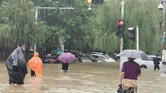 河南将有大到暴雨_河南将有大到暴雨分析