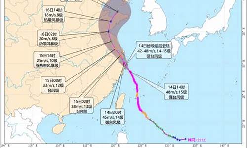 浙江台风路径实时_浙江台风路径实时发布