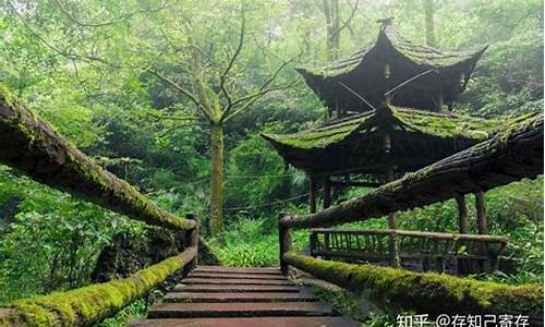 青城山旅游攻略_青城山旅游攻略一日游最佳路线